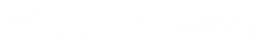 PsiQuantum